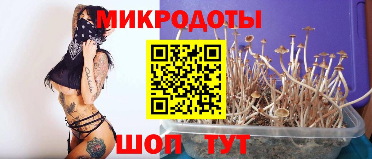 Галлюциногенные грибы GOLDEN TEACHER Брянск